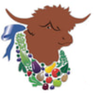 A logo of a brown Scottish Highland Cattle with a wreath of veggies around its neck and a blue bow tied in the back